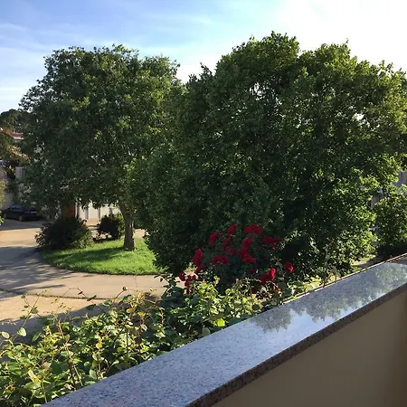 Vojvoda